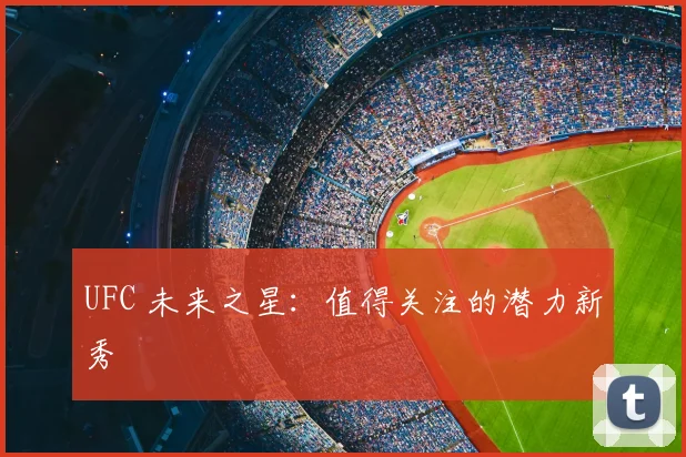 UFC 未来之星:值得关注的潜力新秀